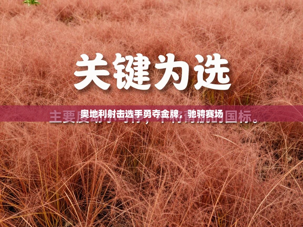 奥地利射击选手勇夺金牌，驰骋赛场  第1张