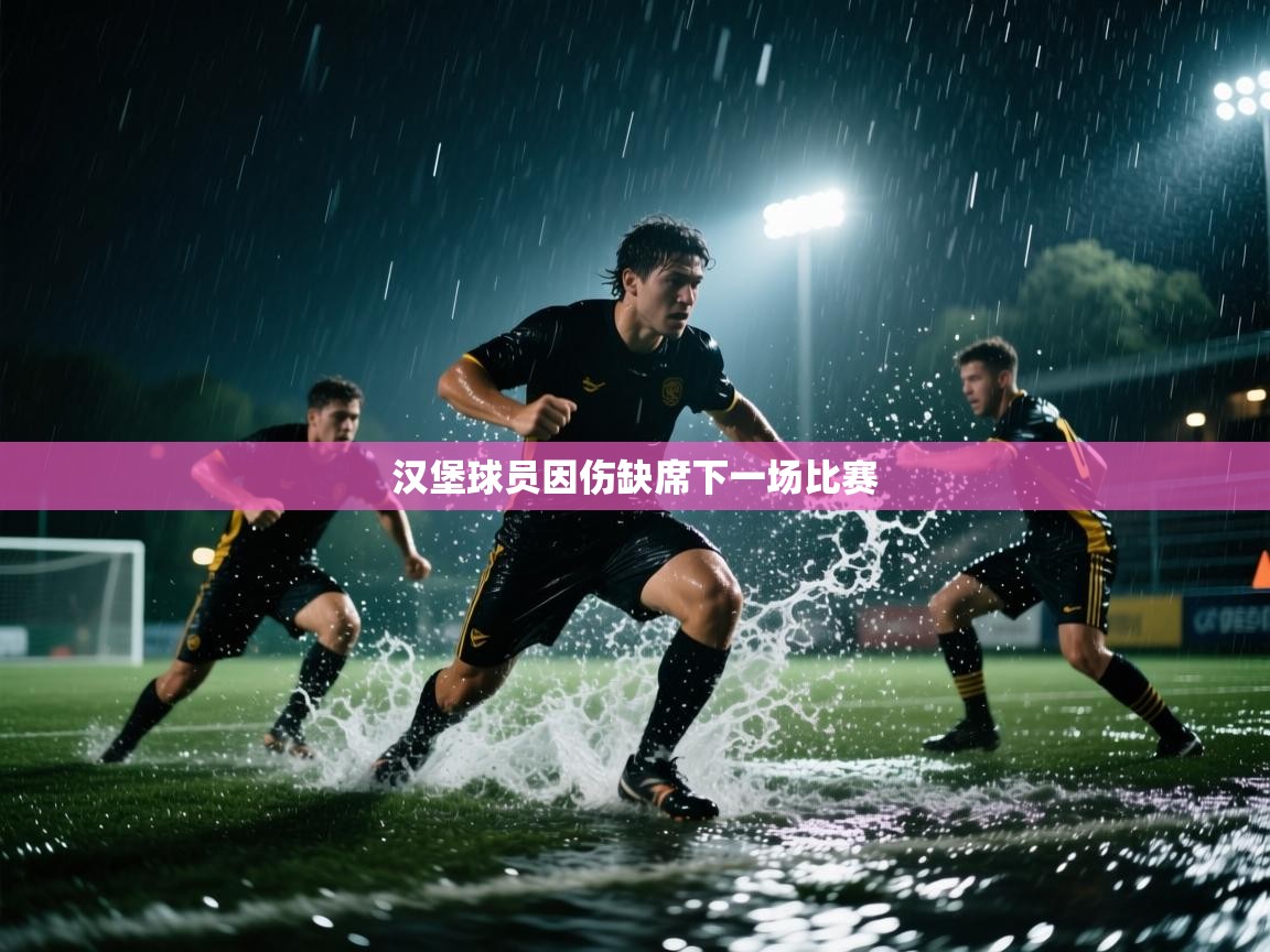 汉堡球员因伤缺席下一场比赛 第1张